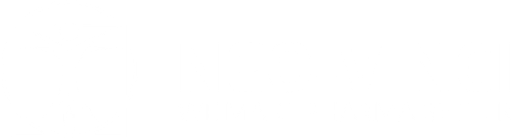 Neo-Vinci